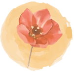 Pure Chandan Incense